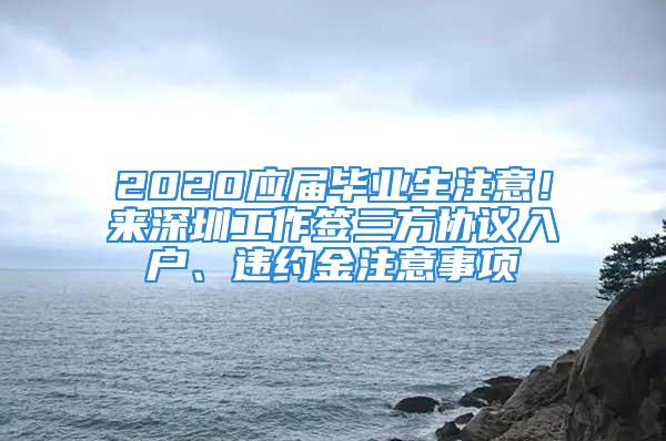 2020应届毕业生注意！来深圳工作签三方协议入户、违约金注意事项