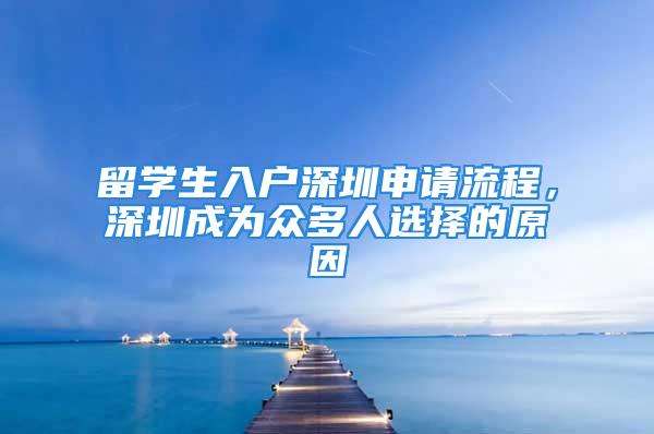 留学生入户深圳申请流程，深圳成为众多人选择的原因