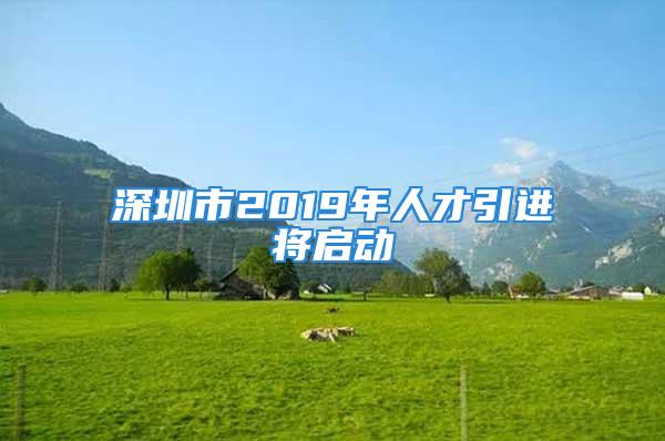 深圳市2019年人才引进将启动