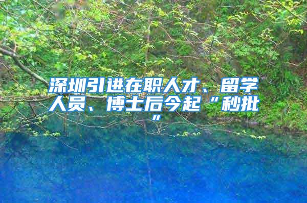 深圳引进在职人才、留学人员、博士后今起“秒批”