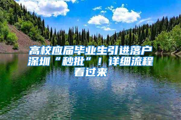 高校应届毕业生引进落户深圳“秒批”！详细流程看过来