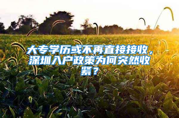 大专学历或不再直接接收，深圳入户政策为何突然收紧？