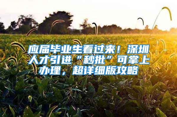 应届毕业生看过来！深圳人才引进“秒批”可掌上办理，超详细版攻略