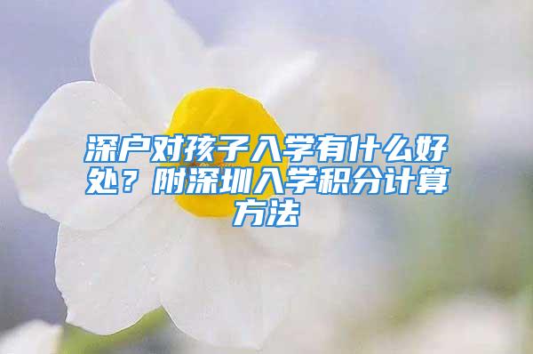 深户对孩子入学有什么好处？附深圳入学积分计算方法