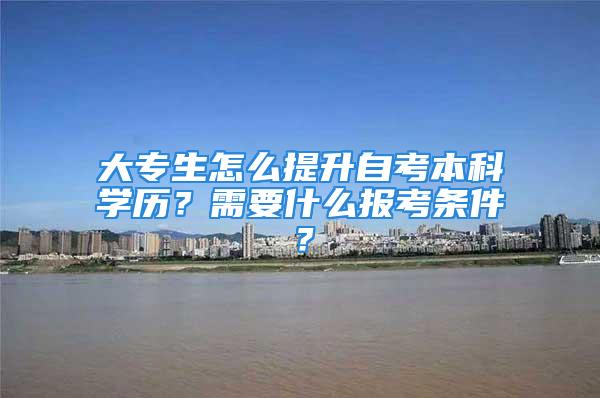 大专生怎么提升自考本科学历？需要什么报考条件？