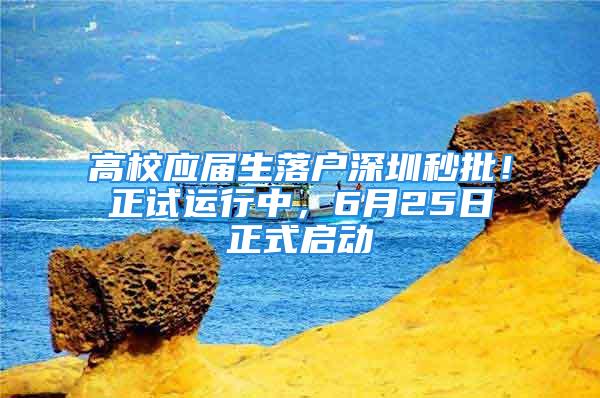 高校应届生落户深圳秒批！正试运行中，6月25日正式启动