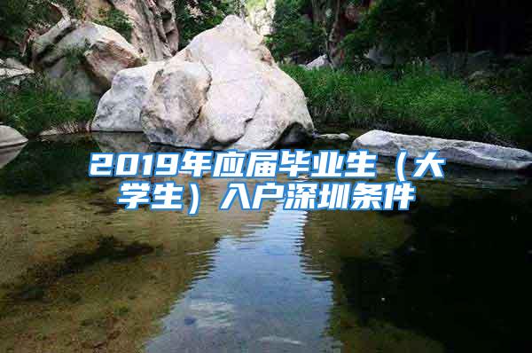 2019年应届毕业生（大学生）入户深圳条件