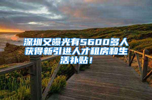 深圳又曝光有5600多人获得新引进人才租房和生活补贴！