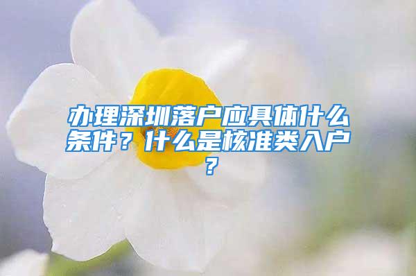 办理深圳落户应具体什么条件？什么是核准类入户？