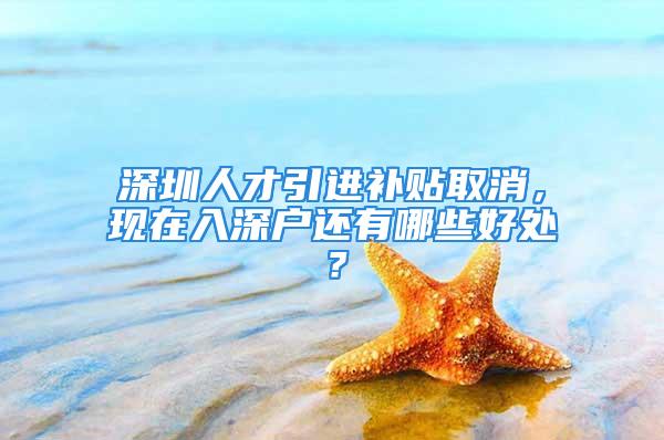 深圳人才引进补贴取消，现在入深户还有哪些好处？