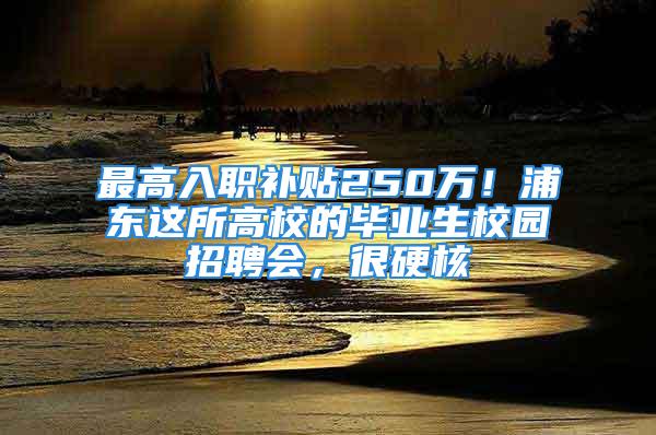 最高入职补贴250万！浦东这所高校的毕业生校园招聘会，很硬核