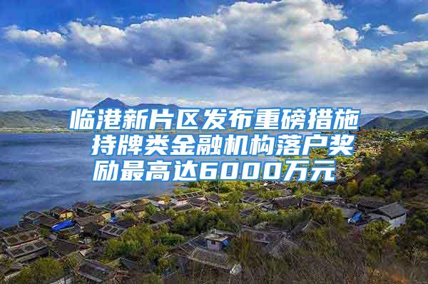 临港新片区发布重磅措施 持牌类金融机构落户奖励最高达6000万元