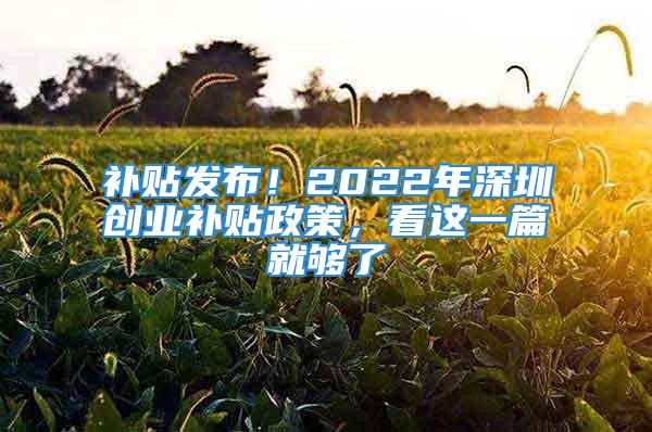 补贴发布！2022年深圳创业补贴政策，看这一篇就够了