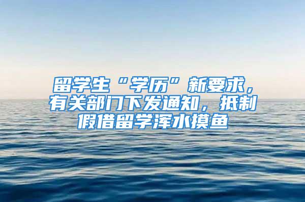 留学生“学历”新要求，有关部门下发通知，抵制假借留学浑水摸鱼