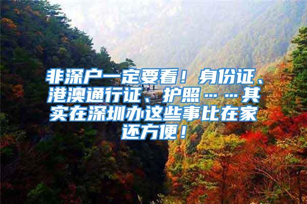 非深户一定要看！身份证、港澳通行证、护照……其实在深圳办这些事比在家还方便！