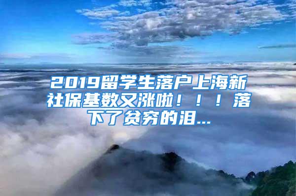 2019留学生落户上海新社保基数又涨啦！！！落下了贫穷的泪...