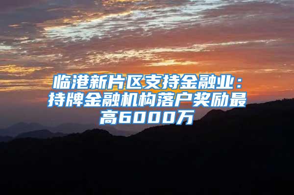 临港新片区支持金融业：持牌金融机构落户奖励最高6000万