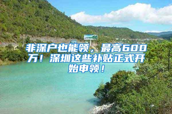 非深户也能领，最高600万！深圳这些补贴正式开始申领！