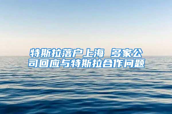 特斯拉落户上海 多家公司回应与特斯拉合作问题