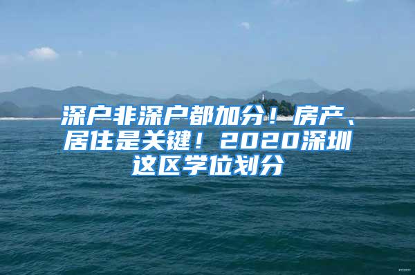 深户非深户都加分！房产、居住是关键！2020深圳这区学位划分