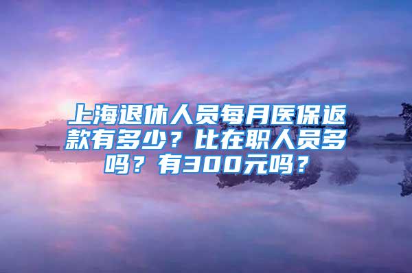 上海退休人员每月医保返款有多少？比在职人员多吗？有300元吗？