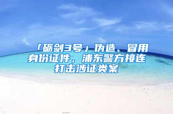 「砺剑3号」伪造、冒用身份证件，浦东警方接连打击涉证类案