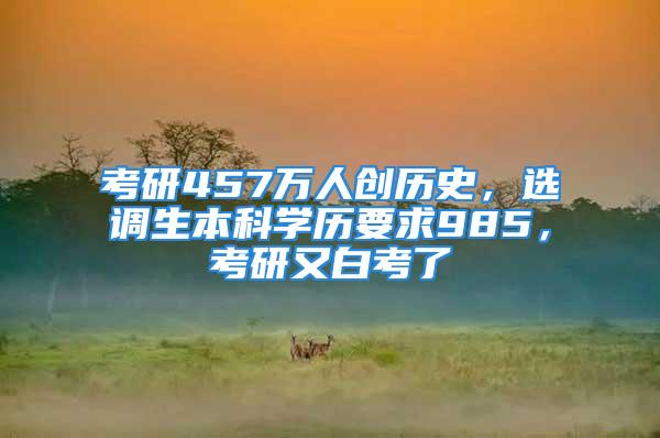 考研457万人创历史，选调生本科学历要求985，考研又白考了