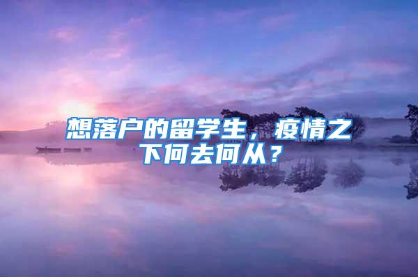 想落户的留学生，疫情之下何去何从？