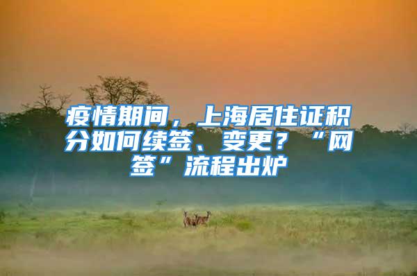 疫情期间，上海居住证积分如何续签、变更？“网签”流程出炉