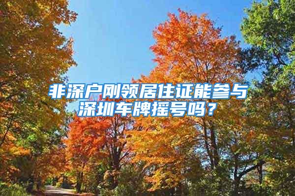 非深户刚领居住证能参与深圳车牌摇号吗？