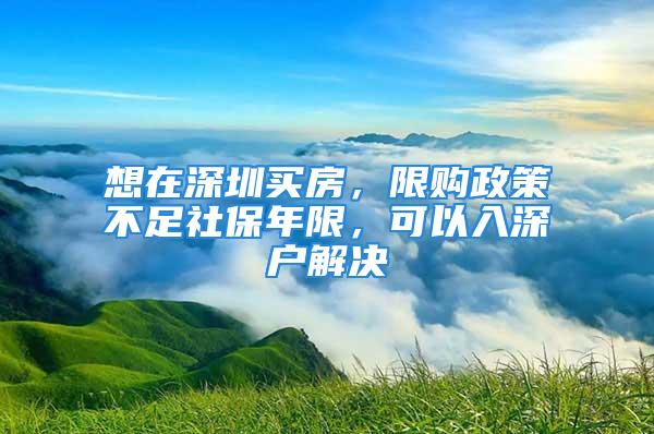 想在深圳买房，限购政策不足社保年限，可以入深户解决