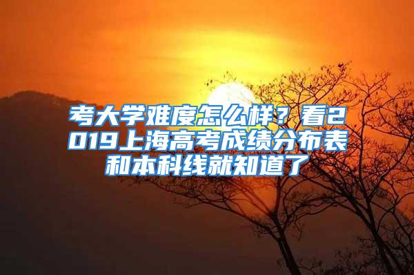 考大学难度怎么样？看2019上海高考成绩分布表和本科线就知道了