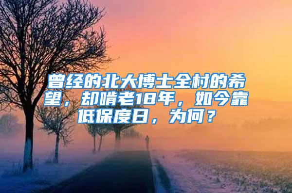 曾经的北大博士全村的希望，却啃老18年，如今靠低保度日，为何？