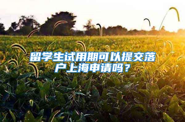 留学生试用期可以提交落户上海申请吗？