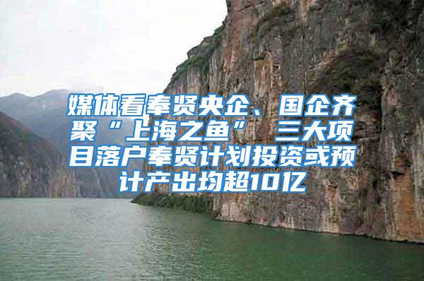 媒体看奉贤央企、国企齐聚“上海之鱼” 三大项目落户奉贤计划投资或预计产出均超10亿