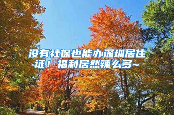 没有社保也能办深圳居住证！福利居然辣么多~