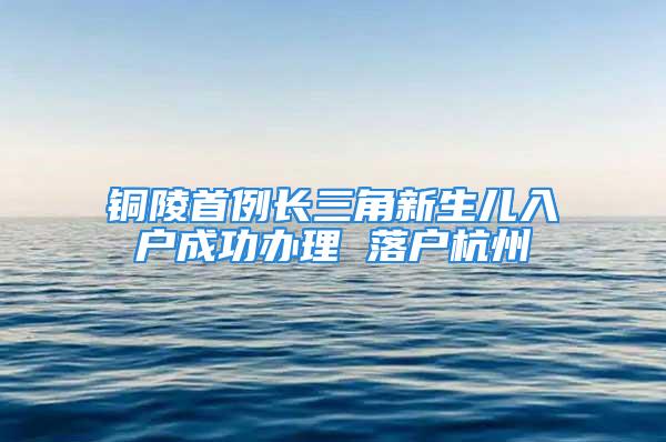 铜陵首例长三角新生儿入户成功办理 落户杭州