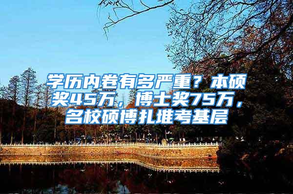 学历内卷有多严重？本硕奖45万，博士奖75万，名校硕博扎堆考基层