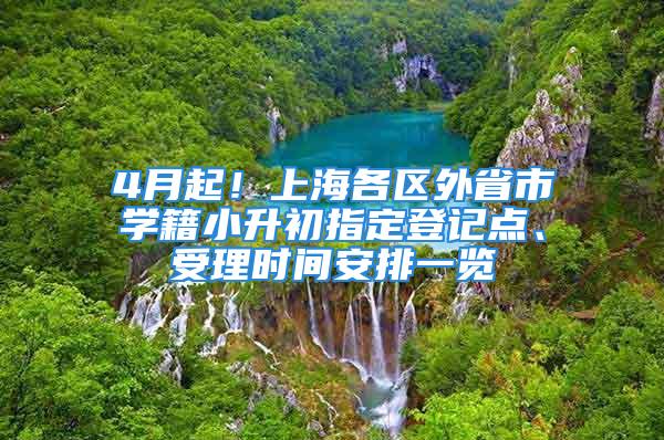 4月起！上海各区外省市学籍小升初指定登记点、受理时间安排一览