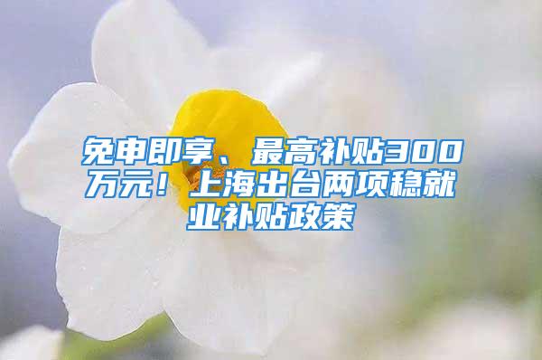 免申即享、最高补贴300万元！上海出台两项稳就业补贴政策