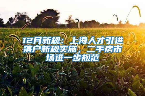 12月新规：上海人才引进落户新规实施，二手房市场进一步规范