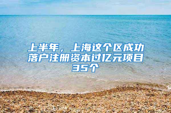 上半年，上海这个区成功落户注册资本过亿元项目35个