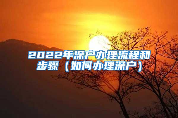 2022年深户办理流程和步骤（如何办理深户）