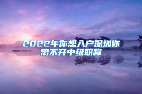 2022年你想入户深圳你离不开中级职称