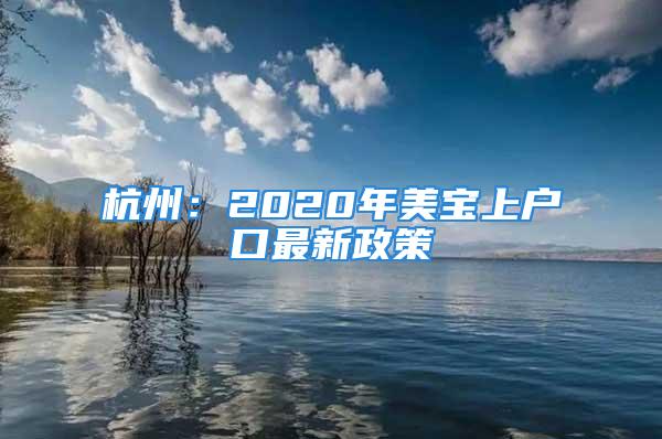 杭州：2020年美宝上户口最新政策