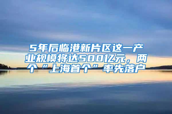 5年后临港新片区这一产业规模将达500亿元，两个“上海首个”率先落户