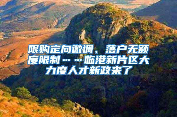 限购定向微调、落户无额度限制……临港新片区大力度人才新政来了