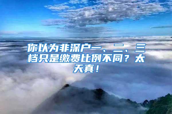 你以为非深户一、二、三档只是缴费比例不同？太天真！