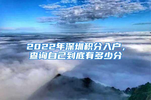 2022年深圳积分入户，查询自己到底有多少分