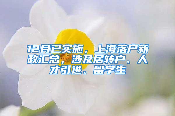 12月已实施，上海落户新政汇总，涉及居转户、人才引进、留学生